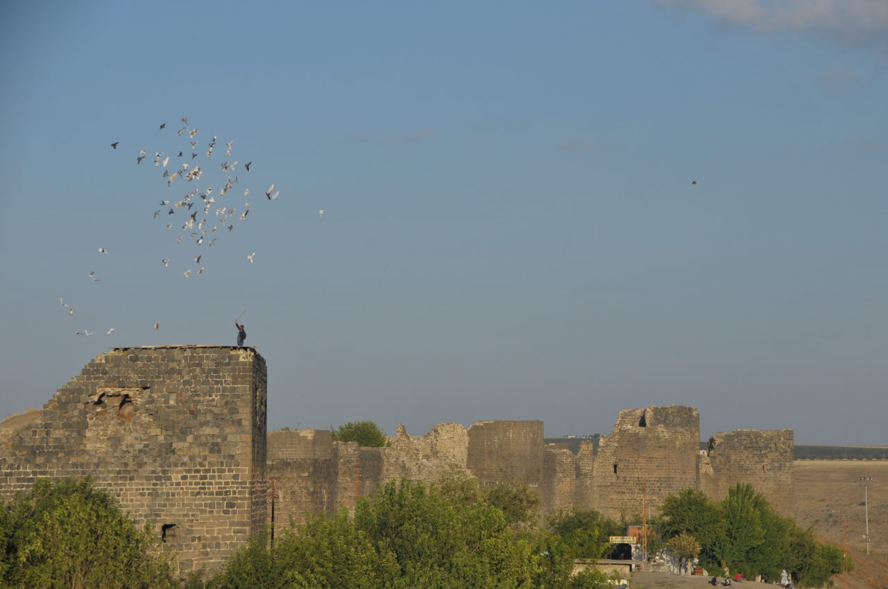 Li aliyê rojhilat yê deşta bazaltî sûr dirêj dibin. (Fotograf: Merthan Anık, 2010)