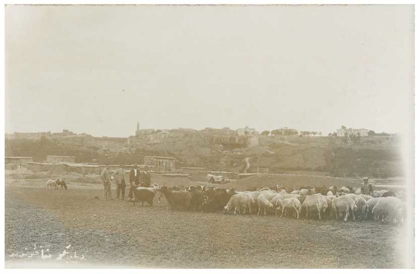 Günümüzde Dicle Üniversitesi’nin yer aldığı Kıtılbil köyünden şehre bakış. (Fotoğraf: Fuat Sezgin, 1928)